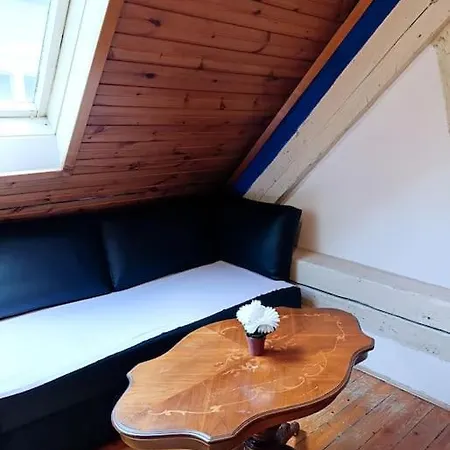 Perfect Location Free Wifi Center Three People * Lubiana