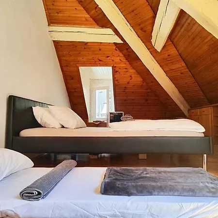 Perfect Location Free Wifi Center Three People Ljubljana